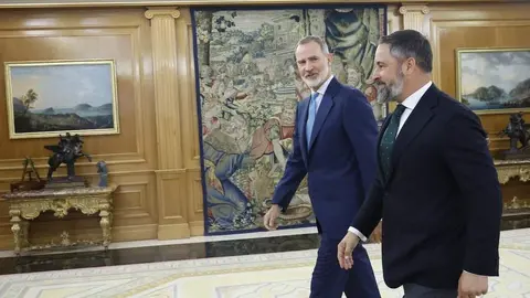 Rey Felipe VI Abascal