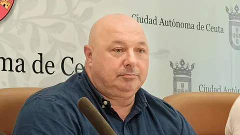 Nicola Cecchi diputado
