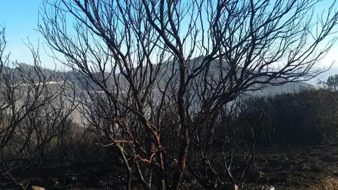 incendio 5