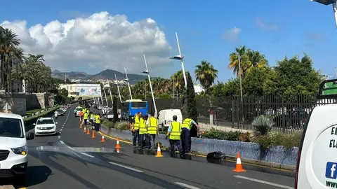 Personal del Plan de empleo sustituyendo las plantas de la mediana de la avenida Juan Pablo II