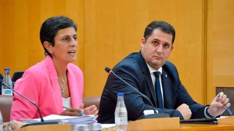 Chandiramani, junto a su compa&ntilde;ero de Gobirerno Alejandro Ram&iacute;rez, interviene en una sesi&oacute;n plenaria d ela Asamblea (C.A./ARCHIVO)