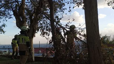 Consecuencias de la borrasca Aline temporal