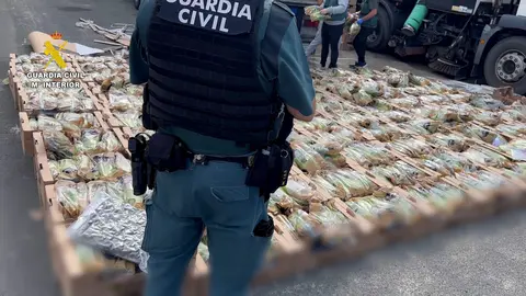 2023-10-20_vuelco_marihuana_lechugas_navarra_01