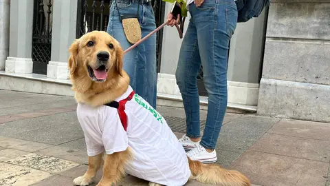 Carrera solidaria &laquo;4.300 pasos por la salud mental&raquo;