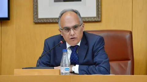  Alberto Gait&aacute;n, durante el transcurso de una sesi&oacute;n plenaria / Alejandro Castillo 