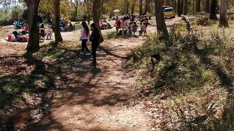 D&iacute;a de la Mochila