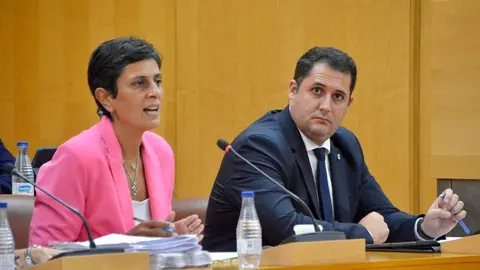  Chandiramani y Ram&iacute;rez durante un Pleno./archivo 