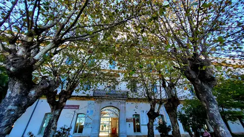 Campus Universitario