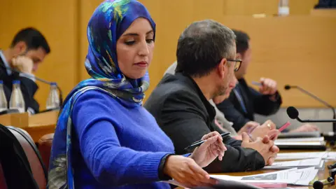 F&aacute;tima Hamed, en un momento del pleno (ALEJANDRO CASTILLO)