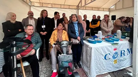 cermi dia internacional personas con discapacidad
