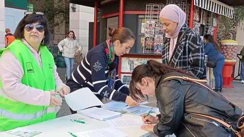 firmas