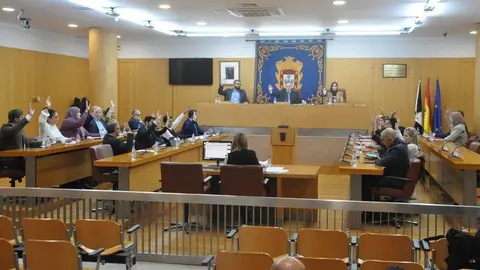  Todos los grupos han votado a favor de rebajar el IPSI a los proyectos estrat&eacute;gicos. 