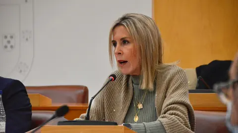 Teresa L&oacute;pez, durante su intervenci&oacute;n en la sesi&oacute;n plenaria (A. Castillo)
