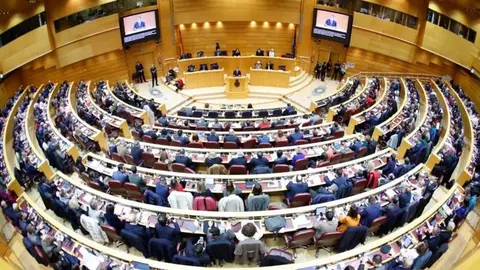 Sesi&oacute;n plenaria celebrada hoy en el edificio del Senado con car&aacute;cter extraordinario (CONGRESO)
