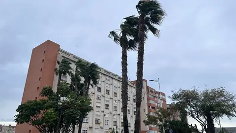 Temporal viento / M.Zapico