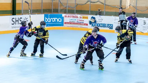 Bulldogs Hockey