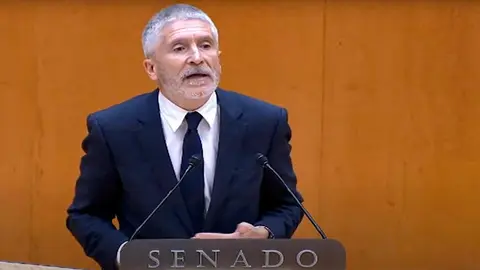 Grane-Marlaska, durante su intervenci&oacute;n ante el Senado (MINISTERIO DEL INTERIOR)