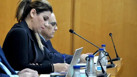  La consejera de Asuntos Sociales durante su intervenci&oacute;n de este lunes ante el pleno / Pablo Mat&eacute;s 