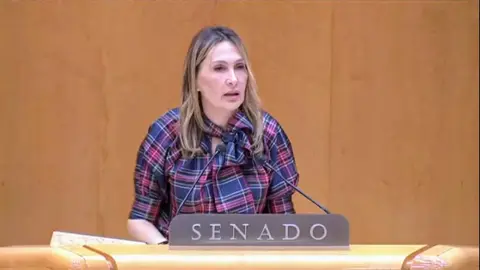 Cristina D&iacute;az, senadora del PP, ha sido la encargada de defender el Proyecto de Ley