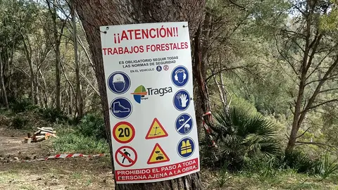 Trabajos forestales Tragsa