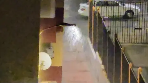 Lluvia