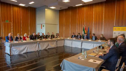 Reuni&oacute;n del meco
