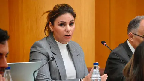 Nabila Benzina, durante su intrevenci&oacute;n en la sesi&oacute;n plenaria (ALEJANDRO CASTILLO)
