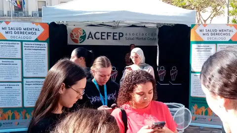 Expositor informativo instalado este mi&eacute;rcoles por Acefep en la Plaza de los Reyes (C.A.)