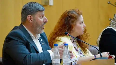  Mohamed Mustafa y Julia Ferreras, durante el transcurso de una sesi&oacute;n plenaria / A. Castillo 