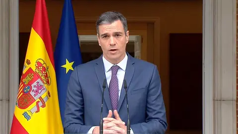 Pedro S&aacute;nchez, durante su comparecencia