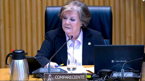 Chicano, durante su comparecencia en la C&aacute;mara Baja (CONGRESO)