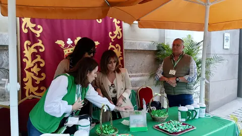 Asociaci&oacute;n Espa&ntilde;ola contra el C&aacute;ncer / S.I&ntilde;esta