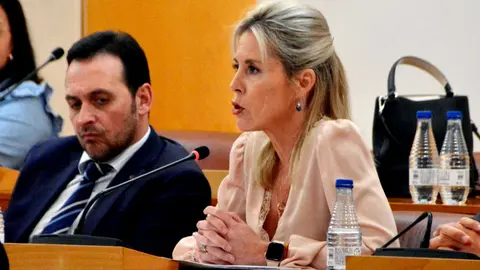 Teresa L&oacute;pez, diputada de Vox, durante su intervenci&oacute;n plenaria de este mi&eacute;rcoles / Alejandro Castillo 