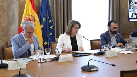 La vicepresidenta y ministra para la Transici&oacute;n Ecol&oacute;gica y el Reto Demogr&aacute;fico, Teresa Ribera, preside la Conferencia (MONCLOA)