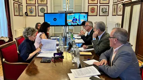 TORRES REDONDO Un momento de la reuni&oacute;n telem&aacute;tica celebrada este lunes (MONCLOA)