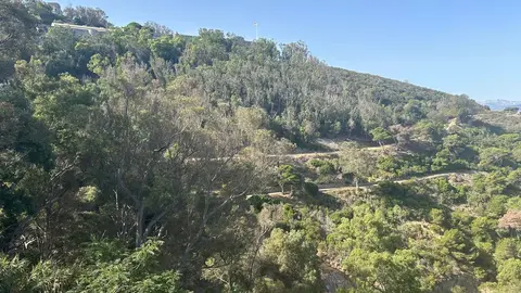 Imagen tomada esta ma&ntilde;ana en el Monte Hacho de la zona afectada por el incendio (MARINA ZAPICO)