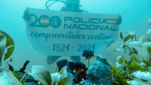 FOTO VIRGEN DEL CARMEN