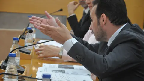 Pleno 4 de septiembre 2024