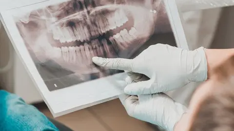 dentista odont&oacute;logo