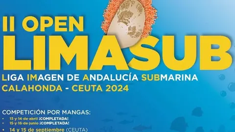 descarga