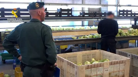 Los agentes, durante la operaci&oacute;n policial (GUARDIA CIVIL)