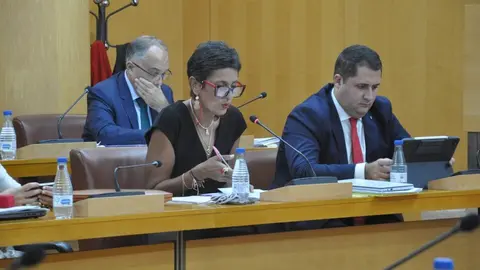  Chandiramani durante una de sus intervenciones en el Pleno de este jueves. 