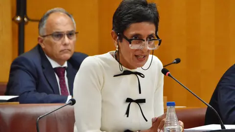  Kissy Chandiramani, consejera de Hacienda, durante la sesi&oacute;n plenaria de este viernes / Alejandro Castillo 