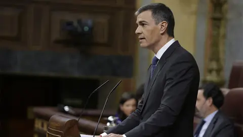 S&aacute;nchez, durante su comparecencia ante la C&aacute;mara Baja (CONGRESO)