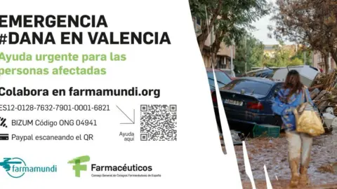 Captura de pantalla 2024-11-13 a las 11.56.17