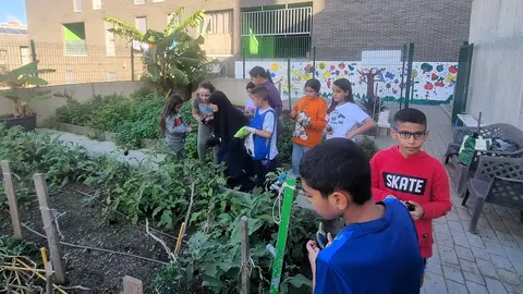 Fundaci&oacute;n Cruz Blanca y Huerto de Loma Colmenar: sembrando valores en la infancia