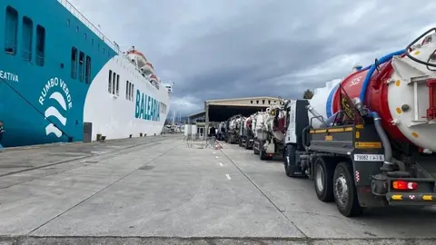 El contingente de Marruecos lleg&oacute; a Motril a bordo del 'Denia Ciutat Creativa' de Bale&agrave;ria (Delegaci&oacute;n de Gobierno en Andaluc&iacute;a)