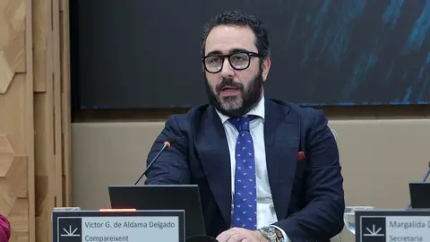 V&iacute;ctor Aldama
