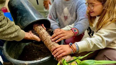 Alumnos del CEIP Lope de Vega, &aacute;rbol / E. Arteaga