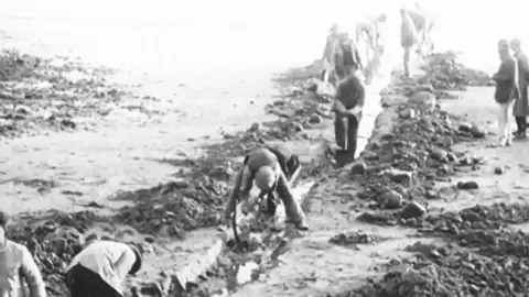 Operarios cavando la zanja para soterrar el cable telef&oacute;nico en la l&iacute;nea mar-tierra /Telef&oacute;nica
